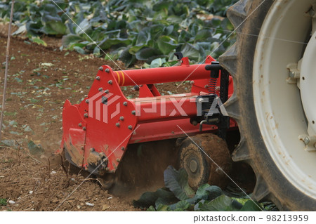 Plowing a cabbage field 98213959