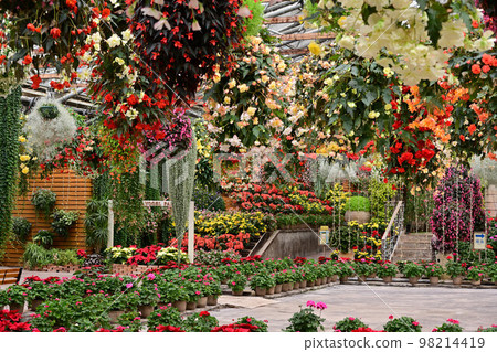 來自Matsue Vogel Park 98214419