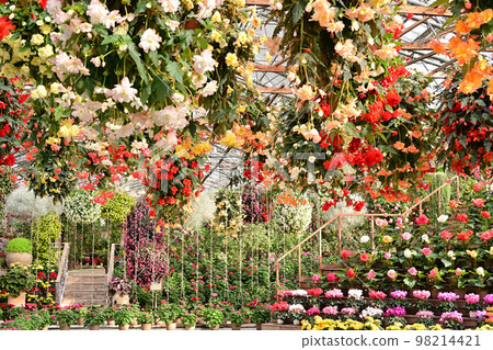 From Matsue Vogel Park 98214421