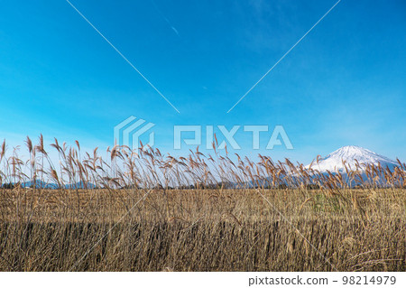 Mt.Fuji seen from Fuyugarenosato Mt.Fuji seen from Fuyugarenosato 98214979