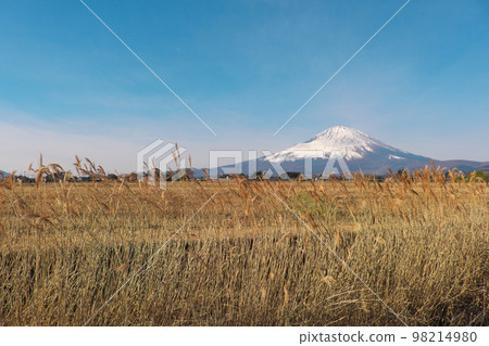 Mt.Fuji seen from Fuyugarenosato Mt.Fuji seen from Fuyugarenosato 98214980