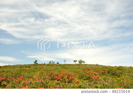 Kanagamine Highland Plateau Nagano Prefecture 98215019