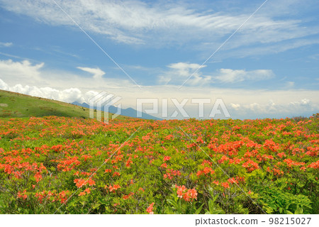 Kanagamine Highland Plateau Nagano Prefecture Kanagamine Highland Plateau Nagano Prefecture 98215027