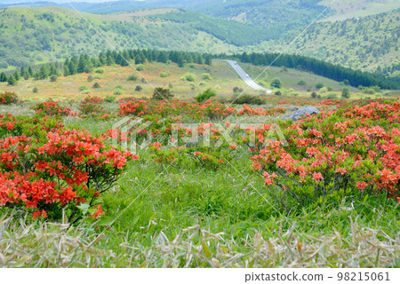 Kanagamine Highland Plateau Nagano Prefecture Kanagamine Highland Plateau Nagano Prefecture 98215061