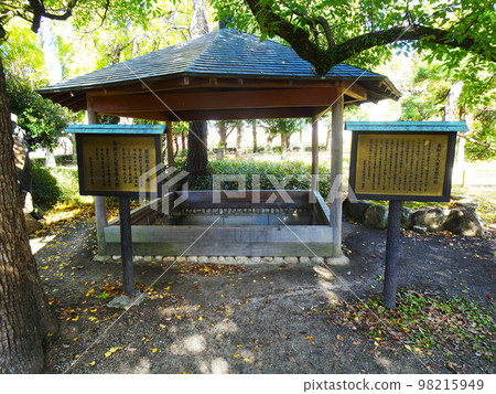 2022 年 11 月,大阪城公園(大阪府大阪市中央區)的蓮女上人長袍懸掛松樹 2022 年 11 月,大阪城公園(大阪府大阪市中央區)的蓮女上人長袍懸掛松樹 98215949