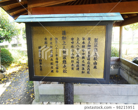 2022 年 11 月大阪城公園(大阪府大阪市中央區)蓮座上人長袍上懸掛的松樹的說明牌 2022 年 11 月大阪城公園(大阪府大阪市中央區)蓮座上人長袍上懸掛的松樹的說明牌 98215951