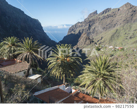 Canary Island, Tenerife view on picturesque Masca village with old stone houses, palm tees, beautiful green sharp hills, cliff, sea horizon and blue sky background 98217550