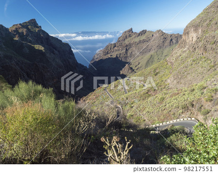 Dramatic lush green landscape with winding curvy mountain road towards Masca village situated in a picturesque valley, Tenerife, Canary Islands, Spain. sunny winter day, blue sky 98217551