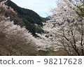 Cherry blossoms of Kihoku 98217628