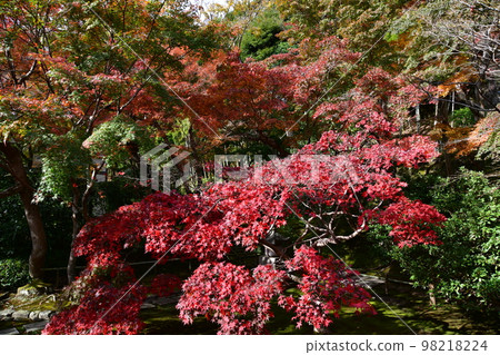 Fall of Kamakura 98218224