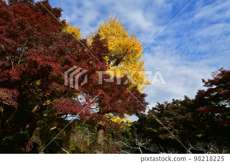 Fall of Kamakura 98218225