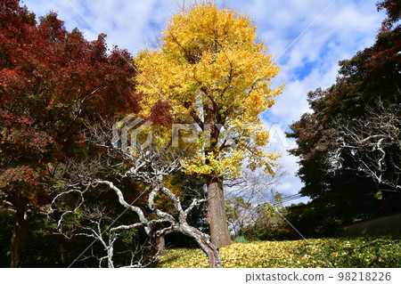 Fall of Kamakura 98218226