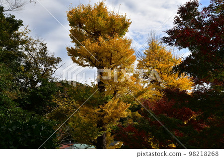 Fall of Kamakura 98218268