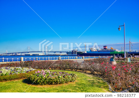 (Kanagawa) Yokohama Minato Mirai · Yamashita Park 98218377