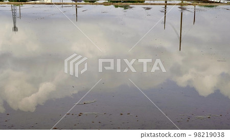 A rice field that reflects the sky and the city before rice planting begins A rice field that reflects the sky and the city before rice planting begins 98219038