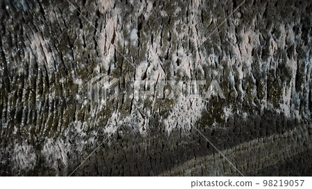 strata of white, black and gray 98219057