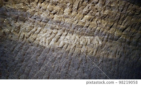 strata of white, black and gray strata of white, black and gray 98219058