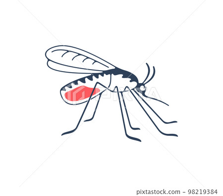 Mosquito, insects, animals, nature and medicine, graphic design. Gnat, insect bloodsucking, pest infectious parasitic spreading, malaria and disease, vector design and illustration 98219384