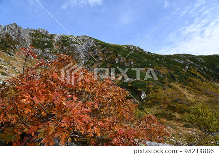The autumn of Senjyo Kiki 98219886