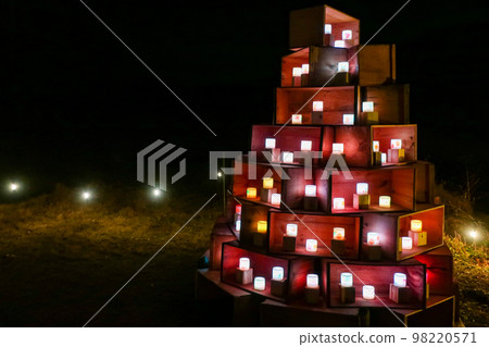 flower garden light up 98220571