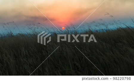Grass Field Sun Setting Nature Countryside 98220798
