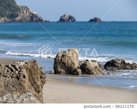 Koijigahama Beach. Tahara City, Aichi Prefecture. 98221178