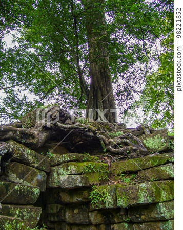 Angkor Ruins 2005 Ta Prohm Erosion 98221852