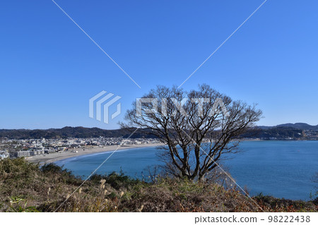 從鎌倉富婆寺遺址眺望由比濱海灘 98222438