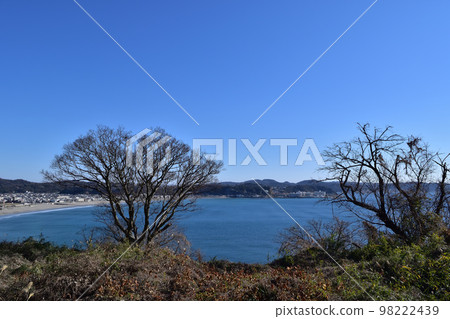 從鎌倉富婆寺遺址眺望由比濱海灘 98222439