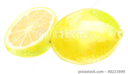 Watercolor illustration of lemon and fruit cut in half Watercolor illustration of lemon and fruit cut in half 98223899