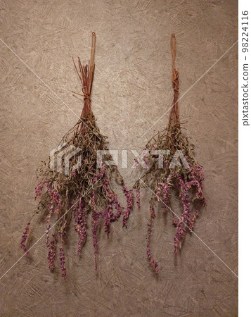 裝飾乾花 裝飾乾花 98224116