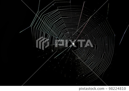 A web woven by a spider on a black background. A web woven by a spider on a black background. 98224810