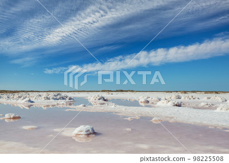 Salinas in Mexico 98225508