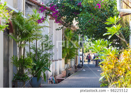 Street garden Street garden 98225512