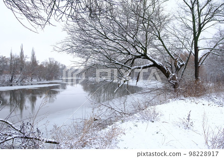The river with snow in it and a forest near covered with snow in winter 98228917