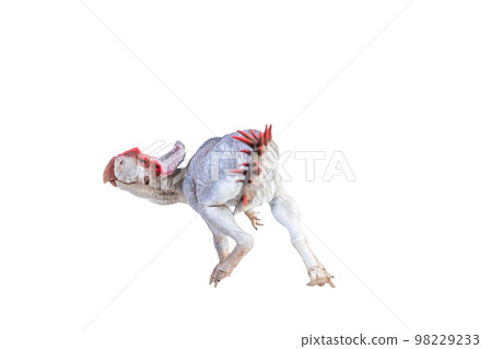 Protoceratops  , dinosaur on  isolated background 98229233