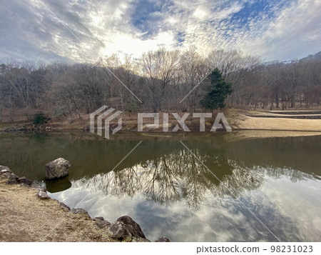 公園裡的池塘反射著冬日的夕陽 98231023