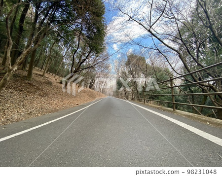冬季公園路 冬季公園路 98231048
