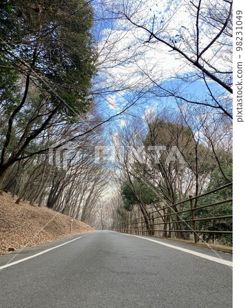 冬季公園路 98231049