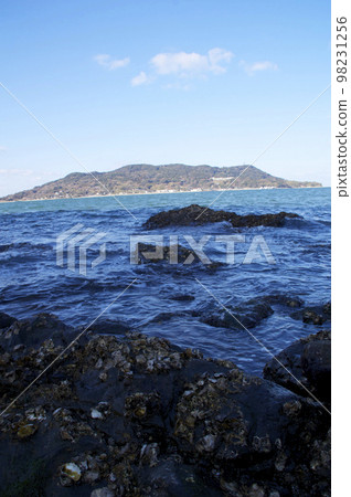 Overlooking Nokonoshima in winter Overlooking Nokonoshima in winter 98231256
