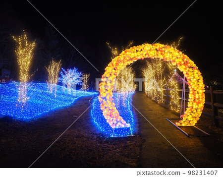 Mahoba Forest Illumination, Ueno Village, Gunma Prefecture Mahoba Forest Illumination, Ueno Village, Gunma Prefecture 98231407