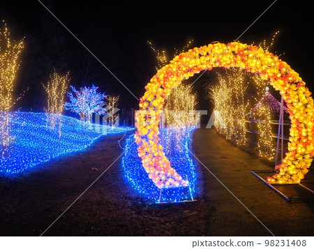 群馬縣上野村 Mahoba 森林燈飾 98231408