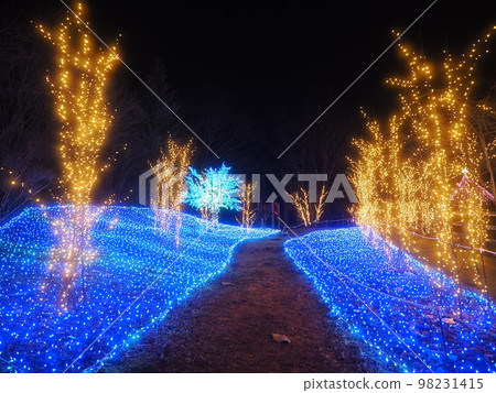 Mahoba Forest Illumination, Ueno Village, Gunma Prefecture Mahoba Forest Illumination, Ueno Village, Gunma Prefecture 98231415