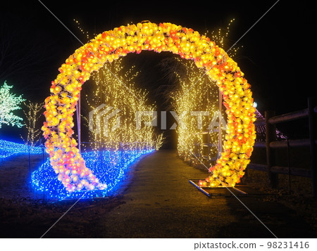 Mahoba Forest Illumination, Ueno Village, Gunma Prefecture 98231416