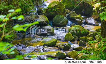 The babbling of a mountain stream flowing through Iwayado Park in summer 98231883