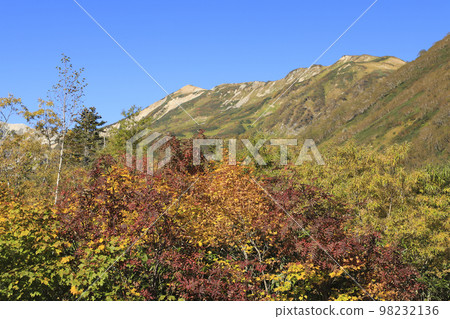 Autumn leaves Tsugaike nature park 98232136