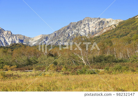 Autumn leaves Tsugaike nature park 98232147