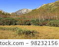 Autumn leaves Tsugaike nature park 98232156