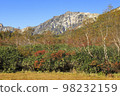 Autumn leaves Tsugaike nature park 98232159