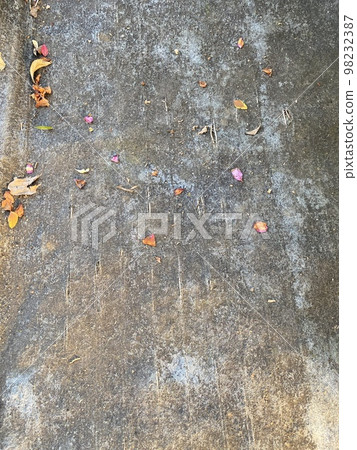 花園裡的舊地毯 花園裡的舊地毯 98232387